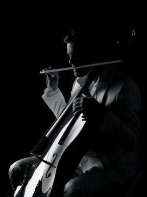 stjepan white tails.jpg