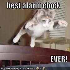 alarm clock.jpg