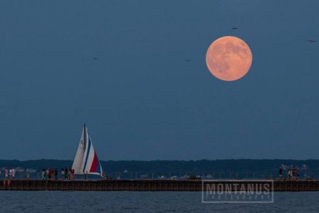 Montanus Super Moon Charlotte Pier viewing Webster in distance.jpg