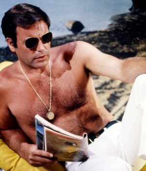 robert wagner.jpg