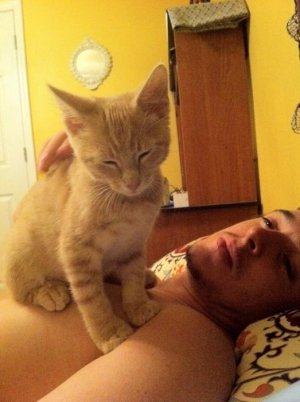 luke the human and theodore the cat..jpg