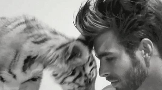 Jon Kortajarena.gif
