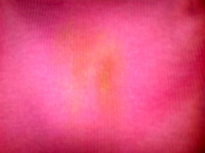 Pink Used Undies #3.jpg