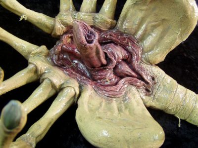 p1010015.jpg p1010015.jpg