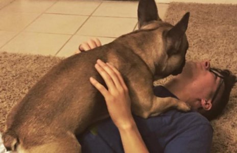 dandy1.jpg dandy1.jpg