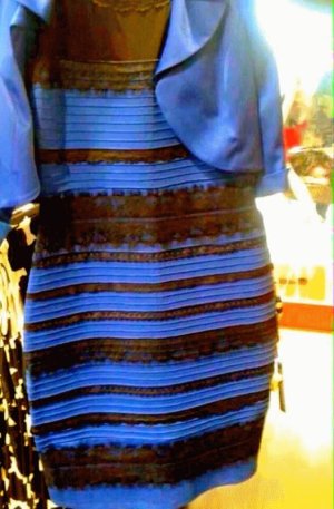 blueandblackdress.jpg