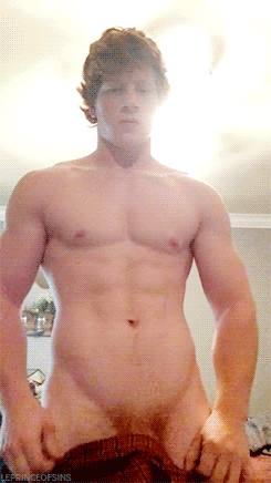 Next step ginger hunk.gif