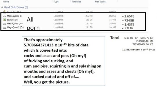 Total hard-drive content for porn.jpg