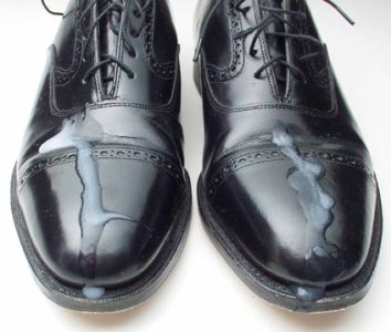 creamed+shoes.jpg