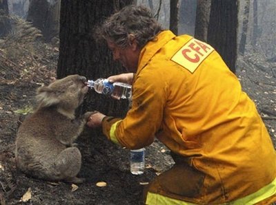 capt.6c88fbc6080148638d5036d80e449907.aptopix_australia_wildfires_mel101.jpg