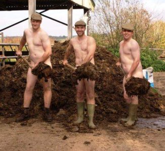 naked working 12.jpg