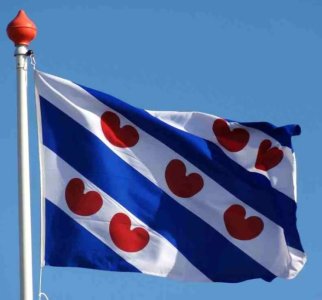 friese-vlag.jpg