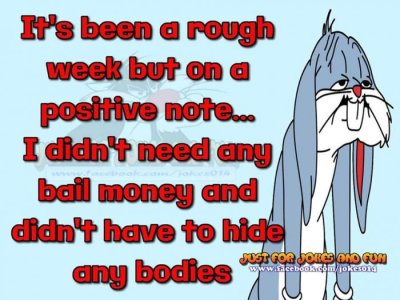 Bugs Rough Week.jpg Bugs Rough Week.jpg