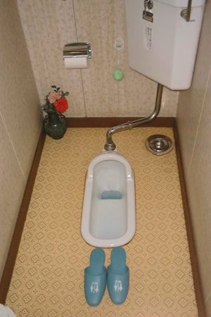 Nice%20Japanese%20squat%20toilet%20courtesy%20OutHouseRag.jpg