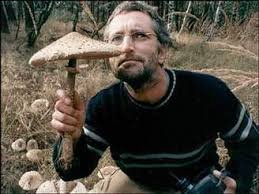 Cesta z mesta 20003.jpg