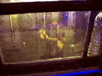100-0011_IMG.jpg