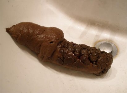 bigturdpic.jpg