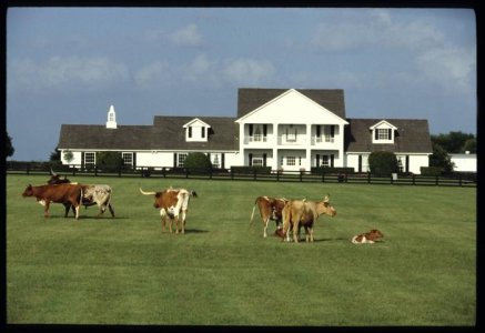SOUTHFORK_RANCH_13238717.jpg