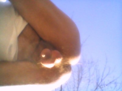 ImageHandler (1).jpg