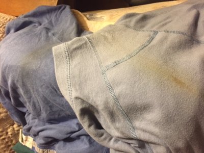 IMG_0385.JPG IMG_0385.JPG