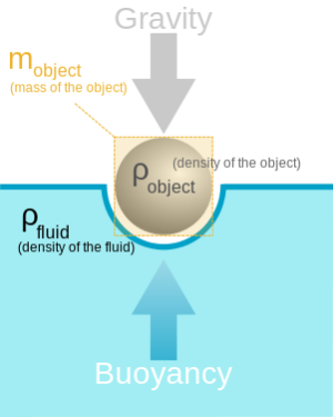 301px-Buoyancy_svg.png