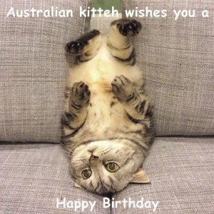 1. c2789386-73bd-493b-af70-963633b534b7.jpg