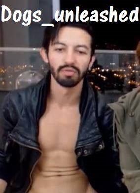 Dogs_unleashed (2).jpg