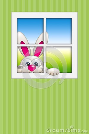 bunny-looking-window-place-text-65669195.jpg