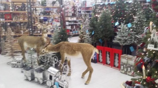 1111161949.jpg 1111161949.jpg