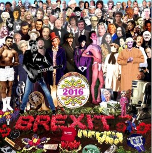 Stars lost 2016.jpg Stars lost 2016.jpg