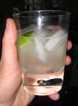 gin-and-tonic.jpg