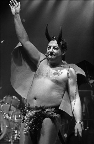 cat-coluche-01_731171.jpg