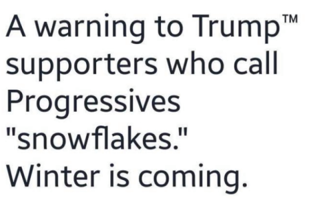 kelly ann with stupid lol.png