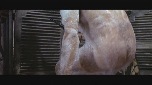 good, bad, ugly1 - 01hr 50min 00sec.jpg