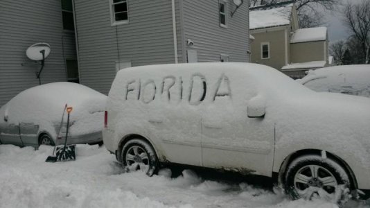 Snow Van - Florida.jpg