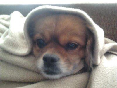 2016-01-12 13.48.13.jpg