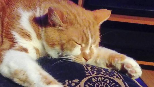 DSC_0014~01.jpg DSC_0014~01.jpg