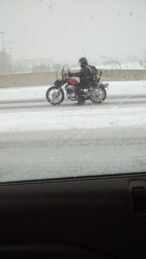 IMG_20170313_163229.jpg IMG_20170313_163229.jpg