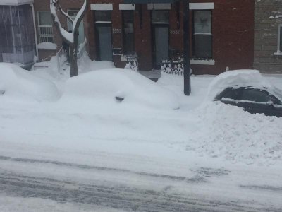 IMG_2733.jpg IMG_2733.jpg