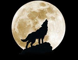 Wolf,moon.jpg