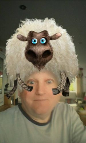 Sheep on Head.jpg