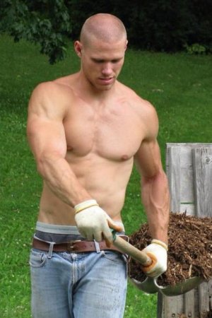 yard-work.jpg