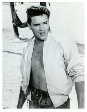 4ac82c6338318747ea4bf4705ca3084f--elvis-presley-sexy-king.jpg