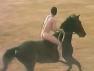 naked-horse3.jpg