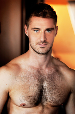 David Mortelecque tumblr_n44bmavluY1tw226co1_500.png