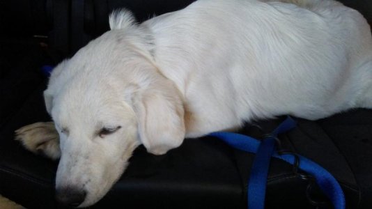 1212170802.jpg 1212170802.jpg