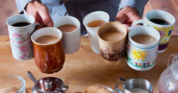 variety.jpg variety.jpg