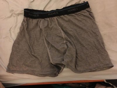 BoxersM.jpg