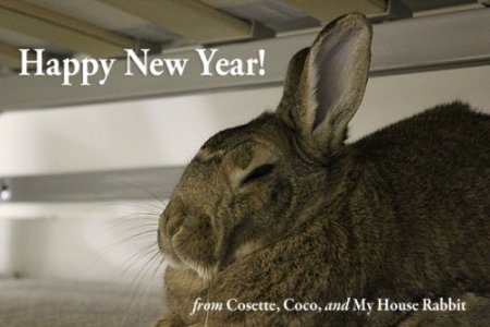 happy new year 3.jpg