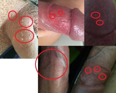 Sem Título.jpg Sem Título.jpg